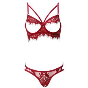 Ladies lace bra and panties 2-piece set